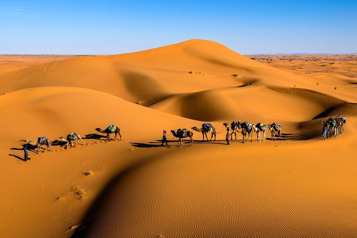 Apakah Kita Bisa Tinggal Di Gurun Sahara?