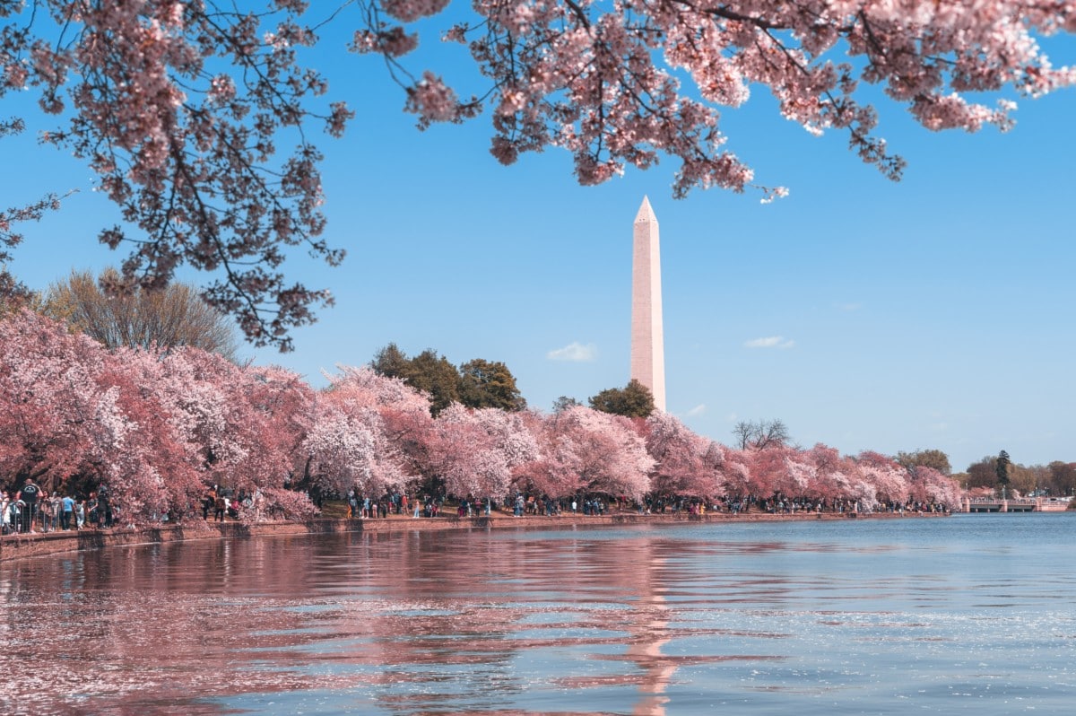 10 Fakta Menarik Tentang Washington